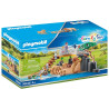 Playmobil Family Fun Οικογένεια Λιονταριών 70343