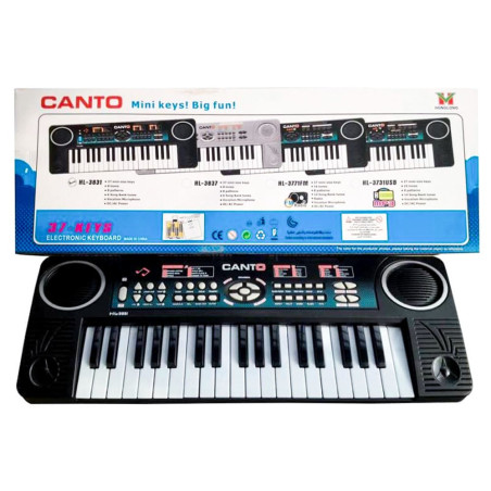 Zita Toys Canto Keyboard Αρμόνιο Με Μικρόφωνο HL-3831