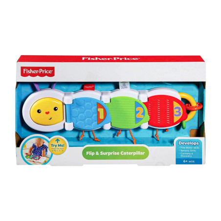 Fisher Price Κάμπια Δραστηριοτήτων με Μουσική DHW14