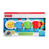 Fisher Price Κάμπια Δραστηριοτήτων με Μουσική DHW14